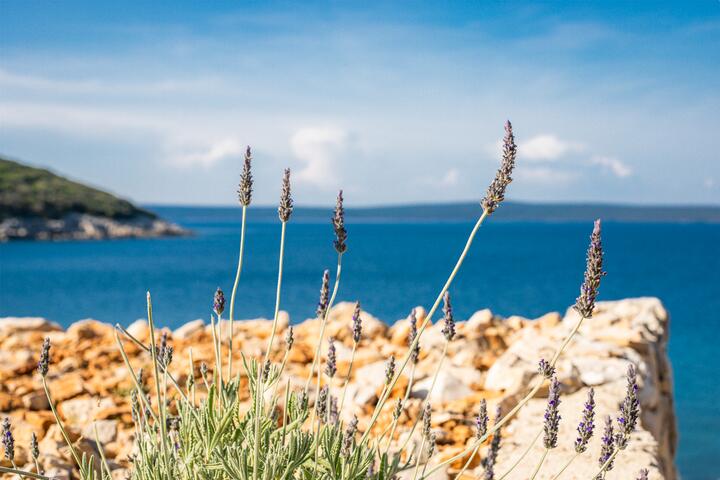 Zatanki on the island Lošinj (Kvarner)