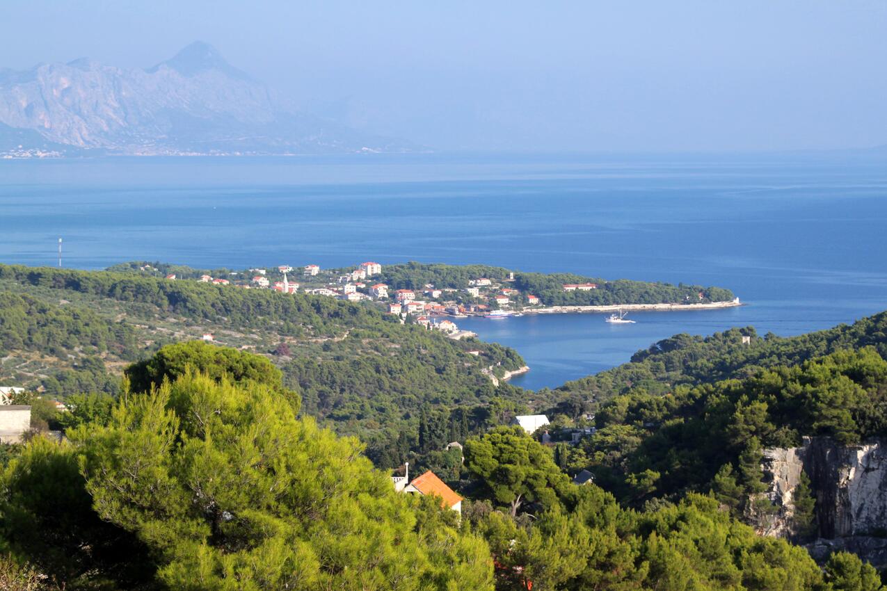 Brač