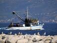 Supetar on the island Brač (Central Dalmatia)