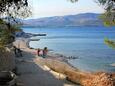 Arbanija, les plages en autour - la côte Čiovo.