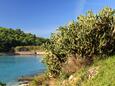 Milna on the island Vis (Central Dalmatia)