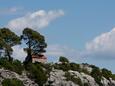 Saplunara pe insula Mljet (Dalmaţia de Sud)