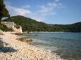 Saplunara, les plages en autour - la côte Mljet.