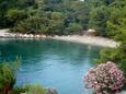 Saplunara, les plages en autour - la côte Mljet.