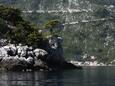 Prožurska Luka sur l’île Mljet (Dalmatie du sud)