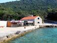 Lučica, les plages en autour - la côte Lastovo.