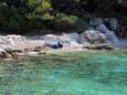 Lučica, les plages en autour - la côte Lastovo.