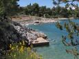 Vantačići, les plages en autour - la côte Krk.