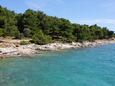 Murter, les plages en autour - la côte Murter.