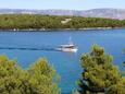 Jelsa on the island Hvar (Central Dalmatia)