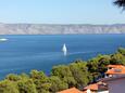 Jelsa on the island Hvar (Dalmacia central)