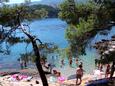 Jelsa, plaże w okolicy - riwiera Hvar.