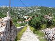 Zavala sur l’île Hvar (Dalmatie centrale)