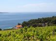 Zavala na ostrove Hvar (Stredná Dalmácia)