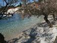 Račišće, les plages en autour - la côte Korčula.