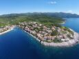 Zavalatica sull'isola Korčula (Dalmazia Meridionale)