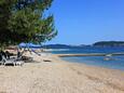 Viganj, les plages en autour - la côte Pelješac.