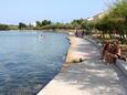 Neviđane, les plages en autour - la côte Pašman.