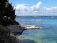 Tkon, les plages en autour - la côte Pašman.