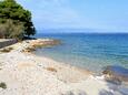 Ugljan, les plages en autour - la côte Ugljan.