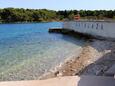 Ugljan, les plages en autour - la côte Ugljan.