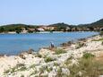 Ugljan, les plages en autour - la côte Ugljan.