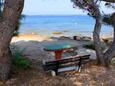 Ugljan, les plages en autour - la côte Ugljan.