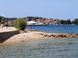 Preko, les plages en autour - la côte Ugljan.