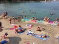 Vir - Pedinka, les plages en autour - la côte Vir.