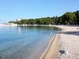 Sveti Filip i Jakov, les plages en autour - la côte Biograd.