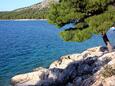 Drage an der Riviera Biograd (Norddalmatien)