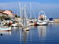 Sali sur l’île Dugi otok (Dalmatie du nord)