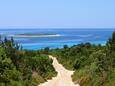 Sali, spiagge nei dintorni - riviera Dugi otok.