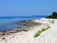 Sali, les plages en autour - la côte Dugi otok.