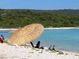 Sali, plaże w okolicy - riwiera Dugi otok.