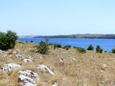 Lavdara on the island Dugi otok (North Dalmatia)