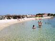 Sušica, les plages en autour - la côte Ugljan.