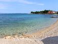 Sušica, les plages en autour - la côte Ugljan.