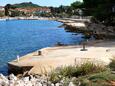 Sušica, les plages en autour - la côte Ugljan.