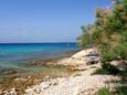 Sušica, les plages en autour - la côte Ugljan.