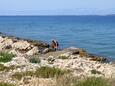 Sušica, les plages en autour - la côte Ugljan.