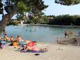 Sušica, les plages en autour - la côte Ugljan.