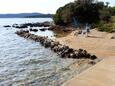 Muline, les plages en autour - la côte Ugljan.