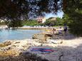 Muline, les plages en autour - la côte Ugljan.