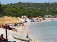 Luka, les plages en autour - la côte Dugi otok.