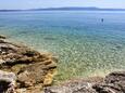 Savar, spiagge nei dintorni - riviera Dugi otok.