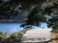 Božava на острове Dugi otok (Северная Далмация)