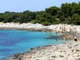 Veli Rat, пляжи в окрестностях - ривьера Dugi otok.