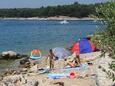 Punat, les plages en autour - la côte Krk.