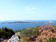 Krknata na ostrove Dugi otok (Severná Dalmácia)